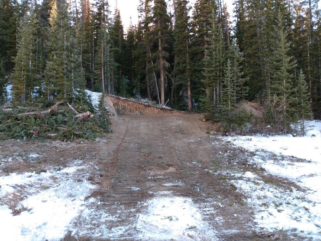 159 Hamilton Property Photo 26