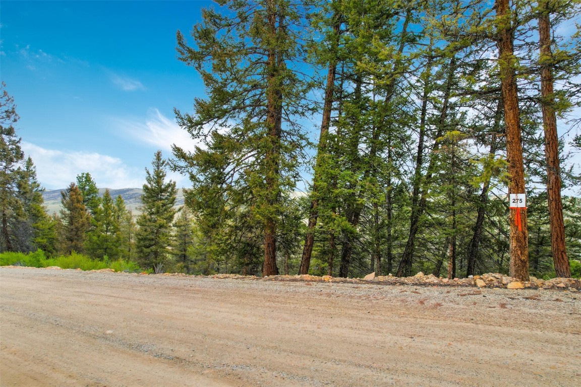 Tbd Trout Creek Lane Property Photo 1