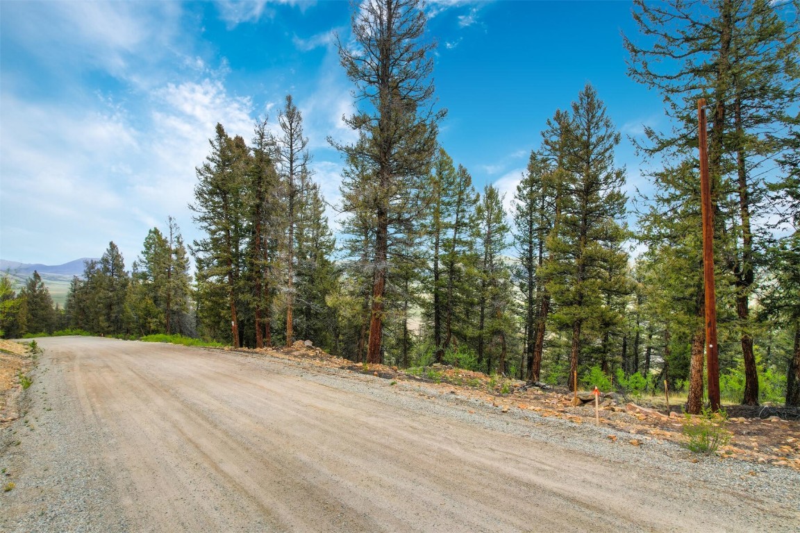 Tbd Trout Creek Lane Property Photo 3