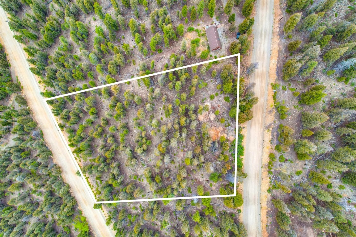 Tbd Trout Creek Lane Property Photo 4
