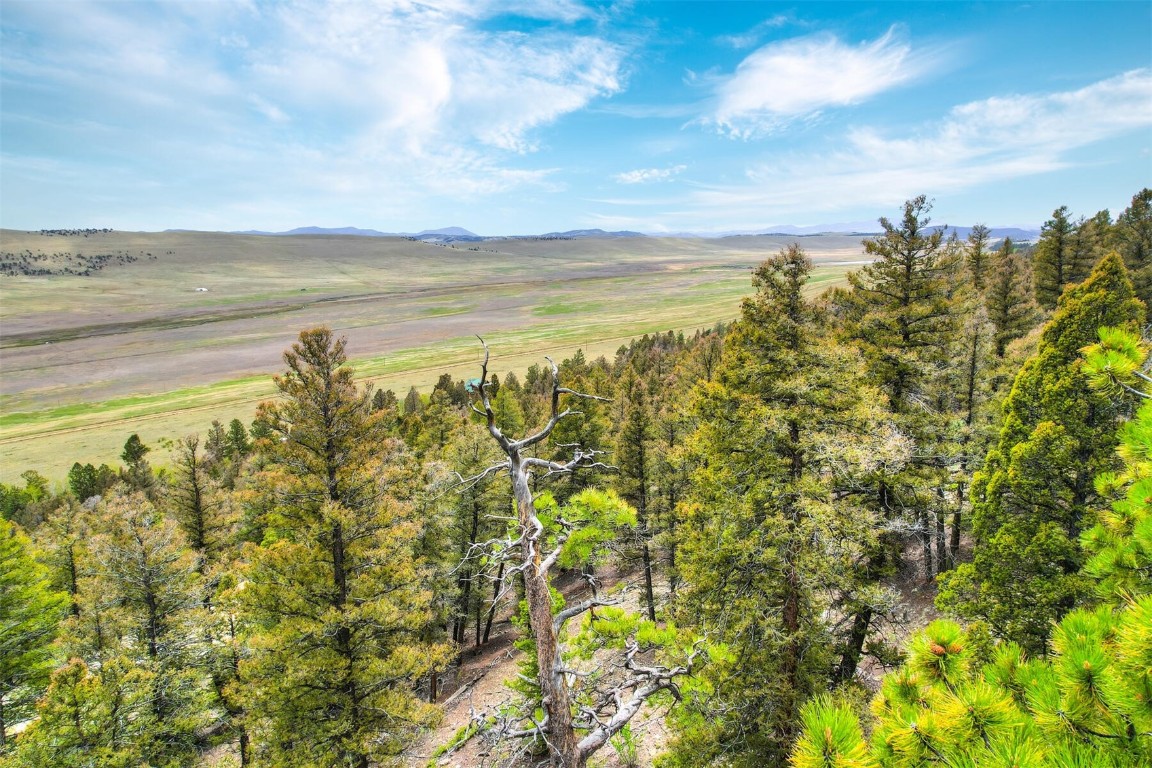 Tbd Trout Creek Lane Property Photo 11