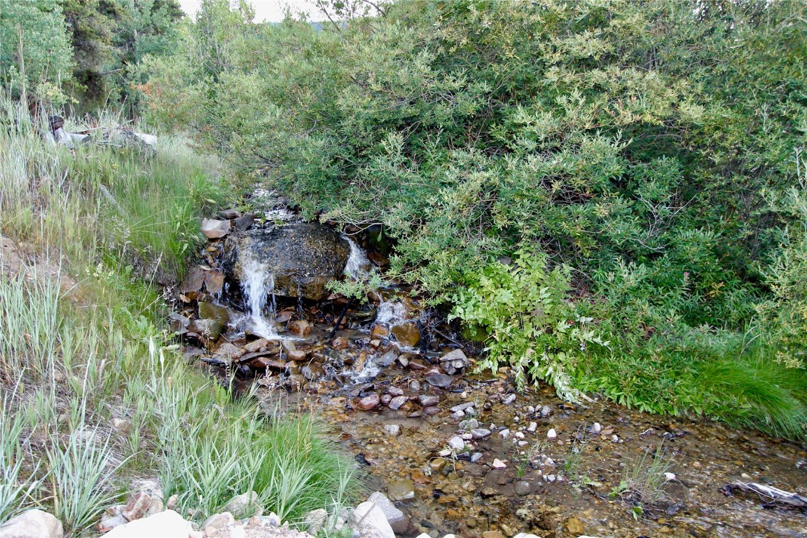 4207 Highway 91 Property Photo 38