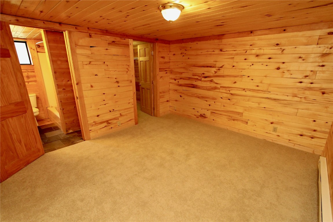4207 Highway 91 Property Photo 45