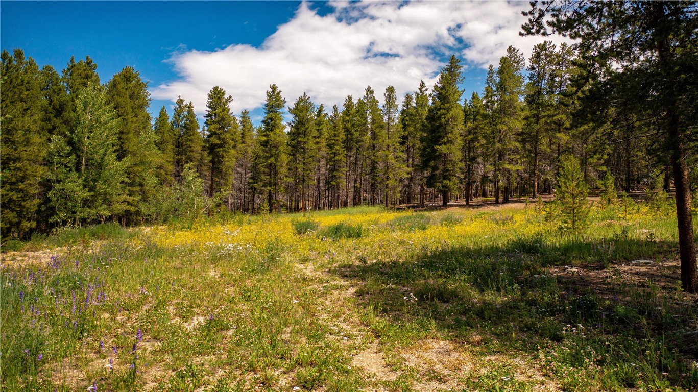 609 Mountain View Drive Property Photo 1