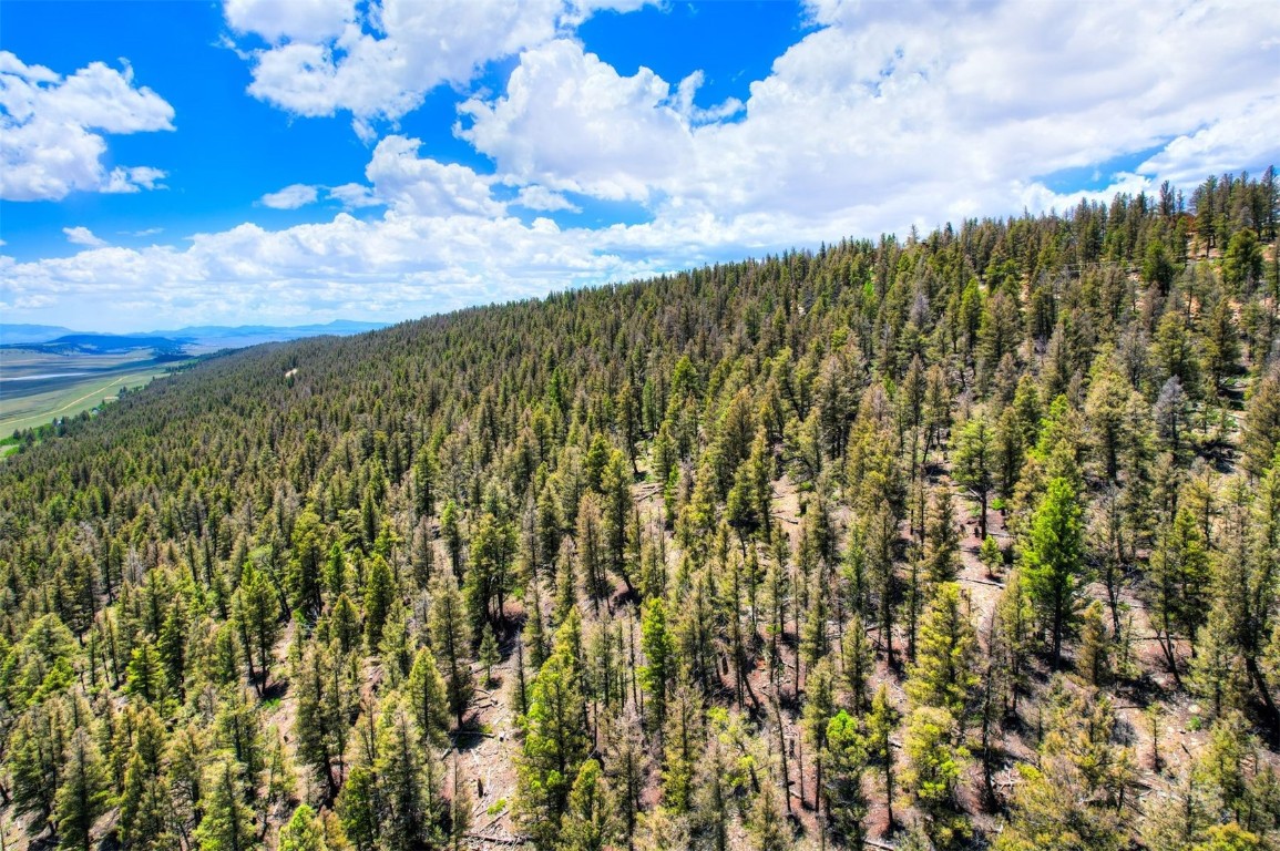 Lot 262 Middle Fork Vista Property Photo 9