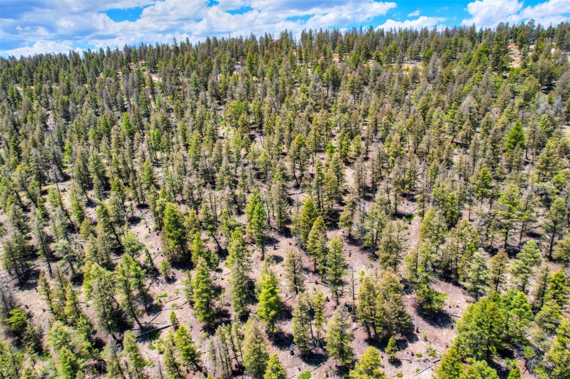 Lot 262 Middle Fork Vista Property Photo 10