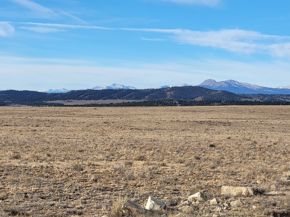 1162 Rocky Mountain Road Property Photo 4