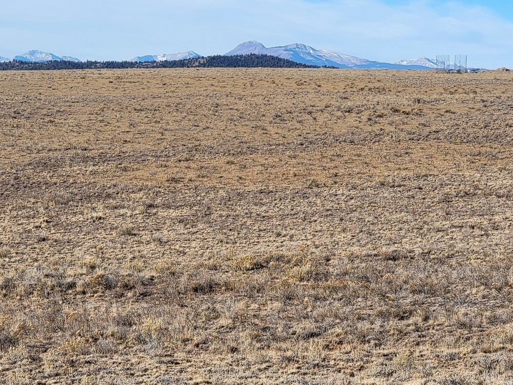 1162 Rocky Mountain Road Property Photo 6