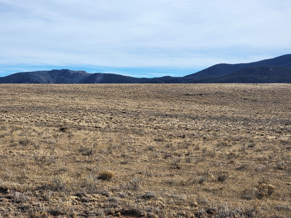 1162 Rocky Mountain Road Property Photo 7