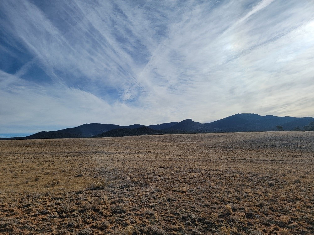 1162 Rocky Mountain Road Property Photo 8