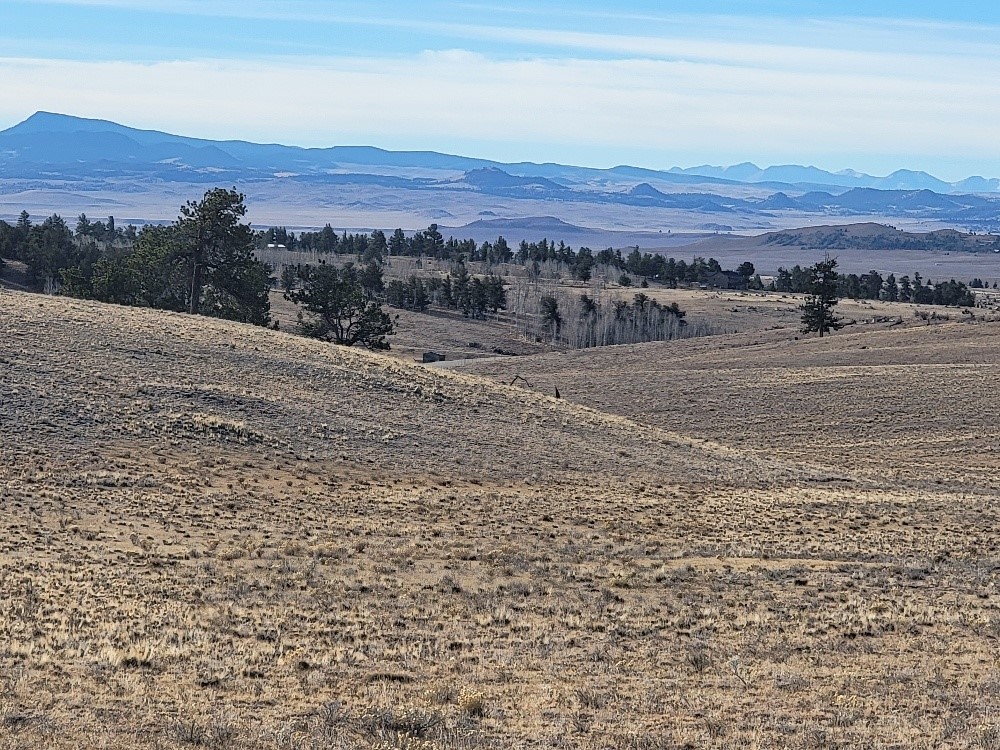 1162 Rocky Mountain Road Property Photo 9