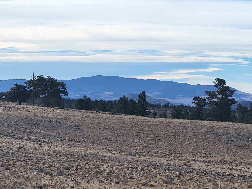 1162 Rocky Mountain Road Property Photo 24