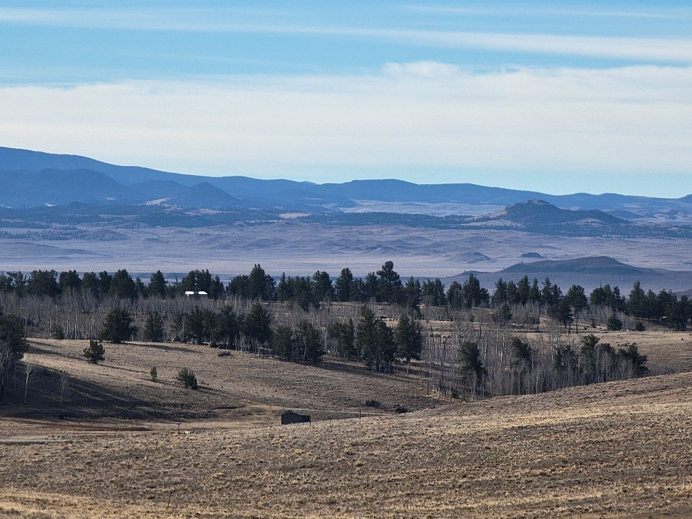 1162 Rocky Mountain Road Property Photo 28
