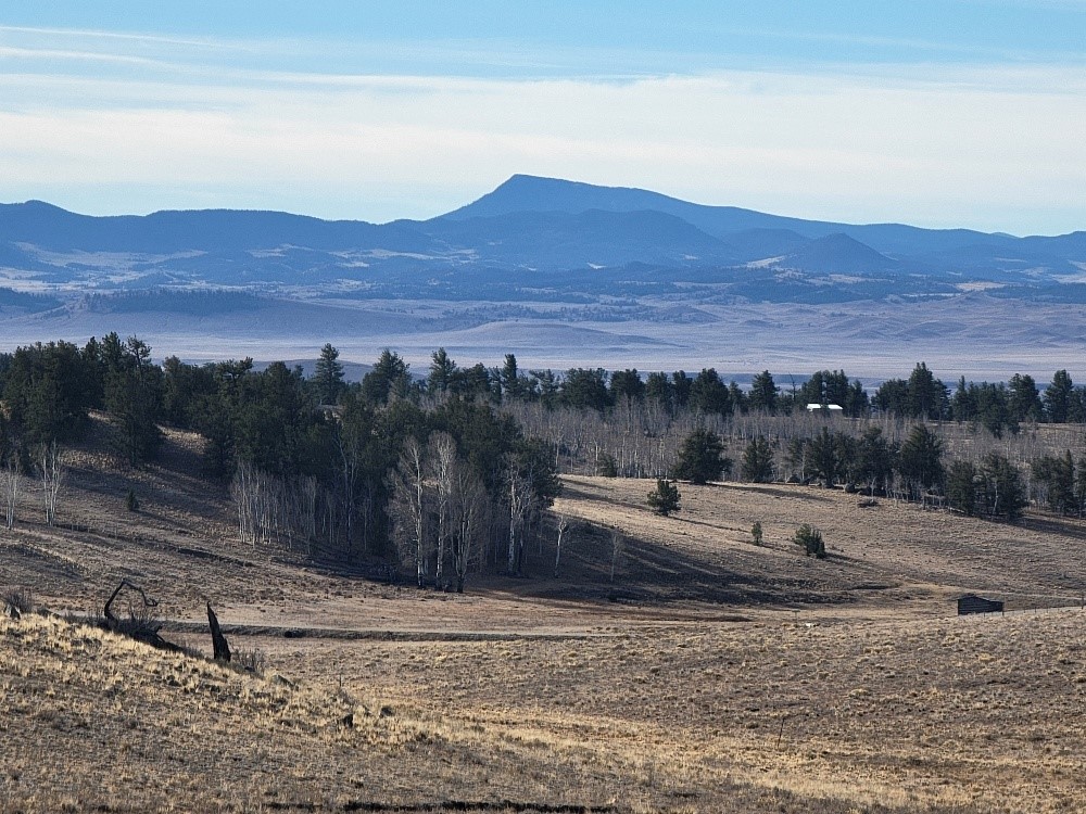 1162 Rocky Mountain Road Property Photo 29