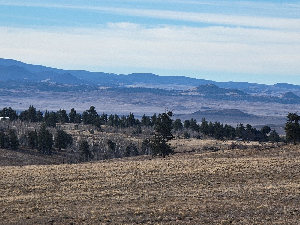 1162 Rocky Mountain Road Property Photo 34