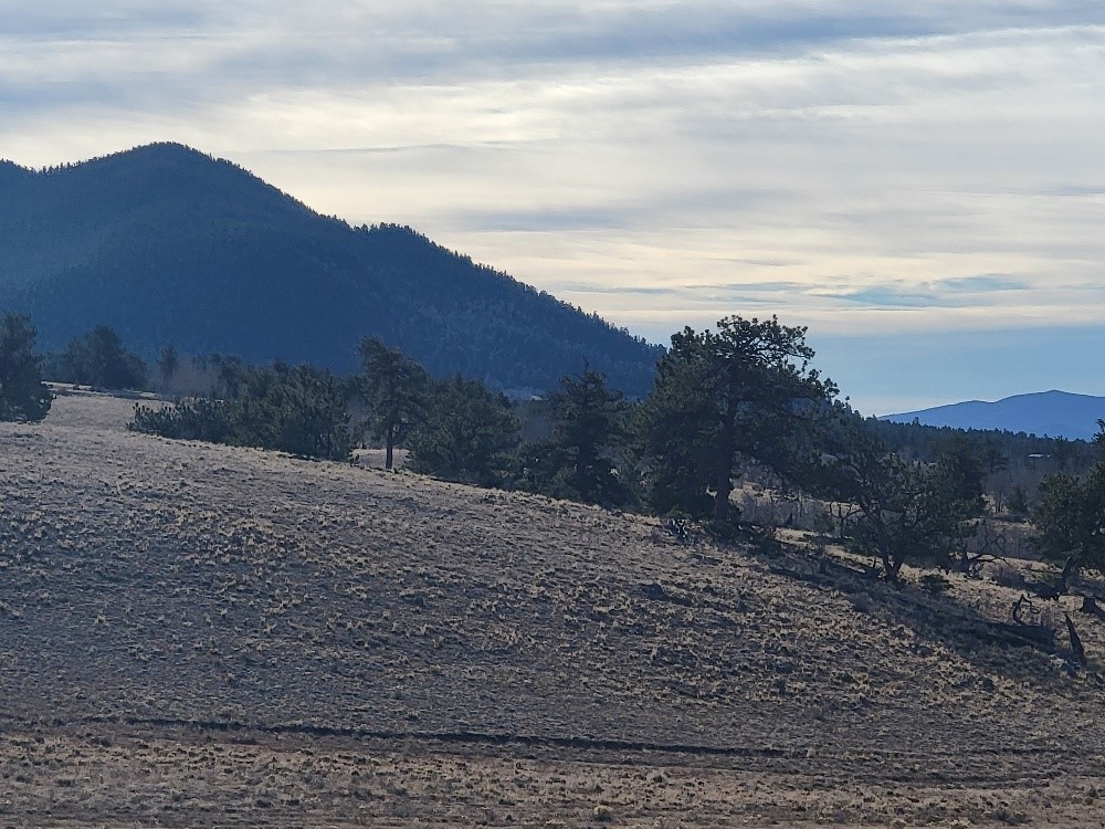 1162 Rocky Mountain Road Property Photo 35