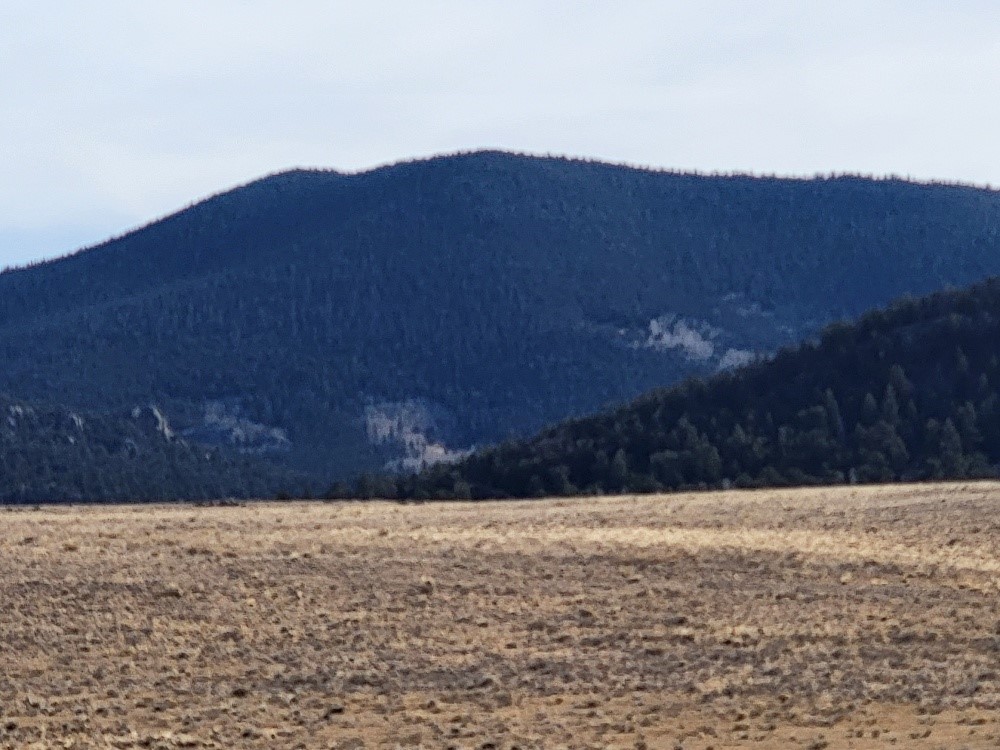 1162 Rocky Mountain Road Property Photo 38