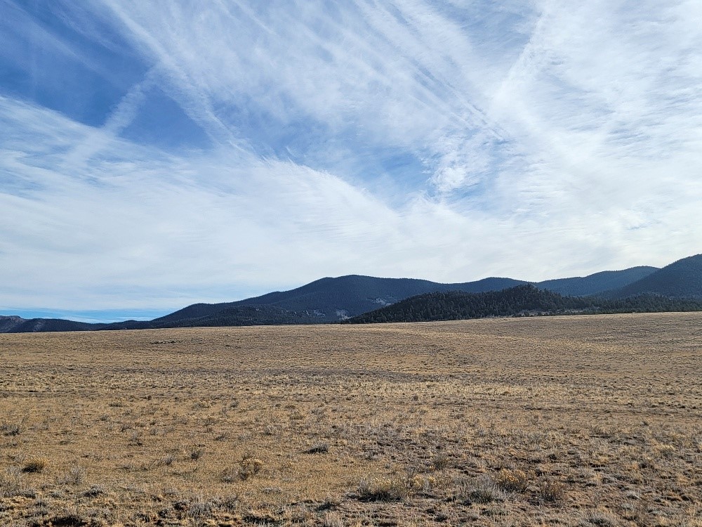 1162 Rocky Mountain Road Property Photo 39
