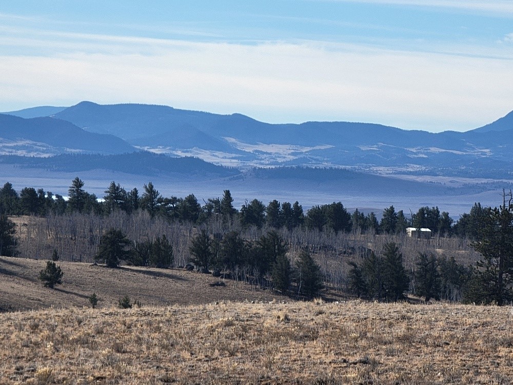 1162 Rocky Mountain Road Property Photo 43
