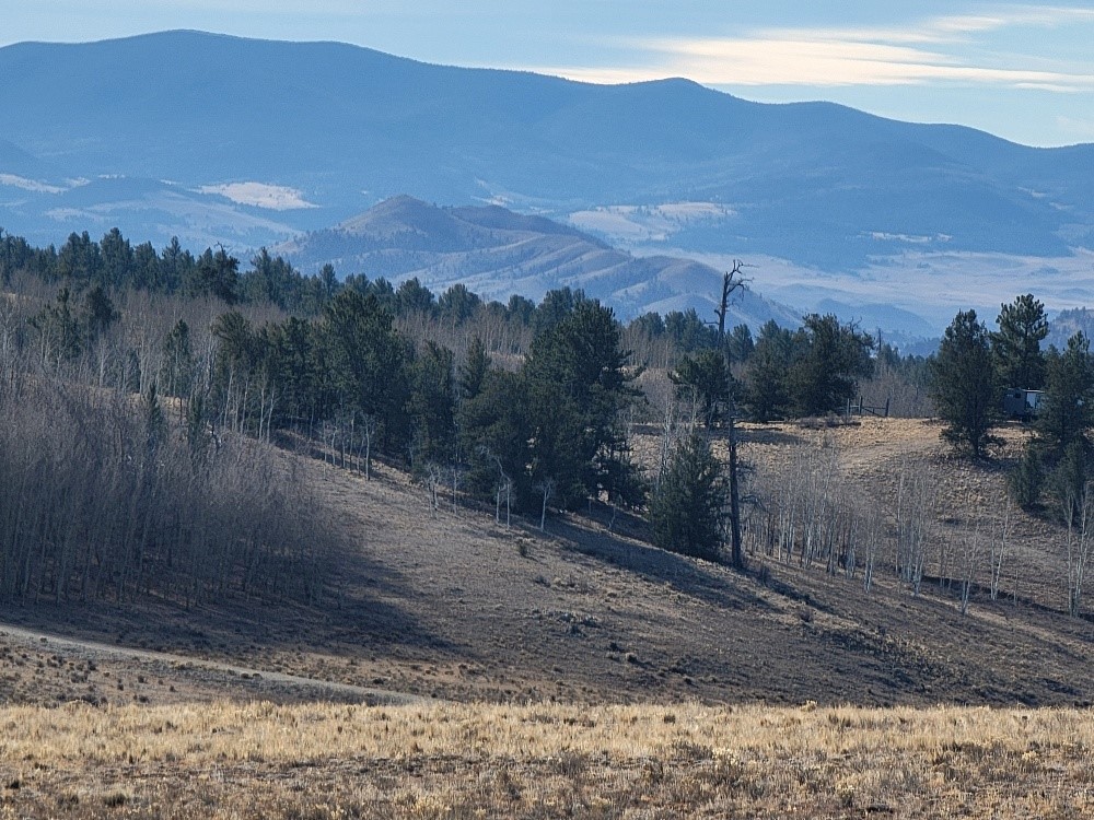 1162 Rocky Mountain Road Property Photo 44