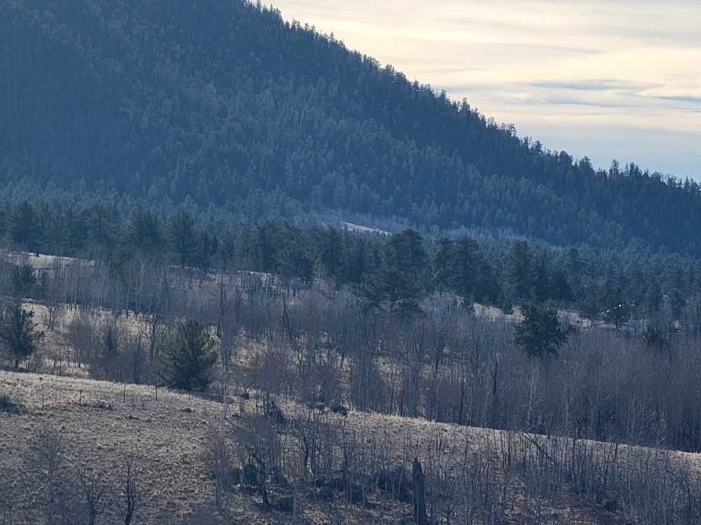 1162 Rocky Mountain Road Property Photo 45