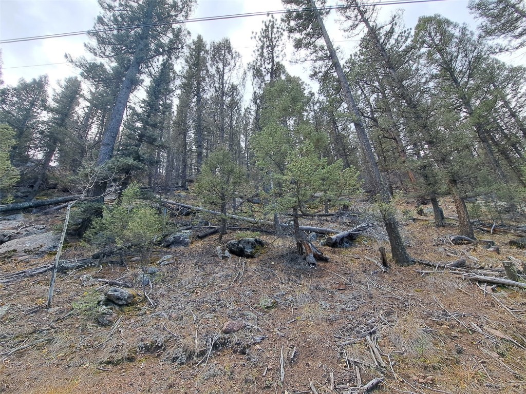 1077 Roland Drive Property Photo 2