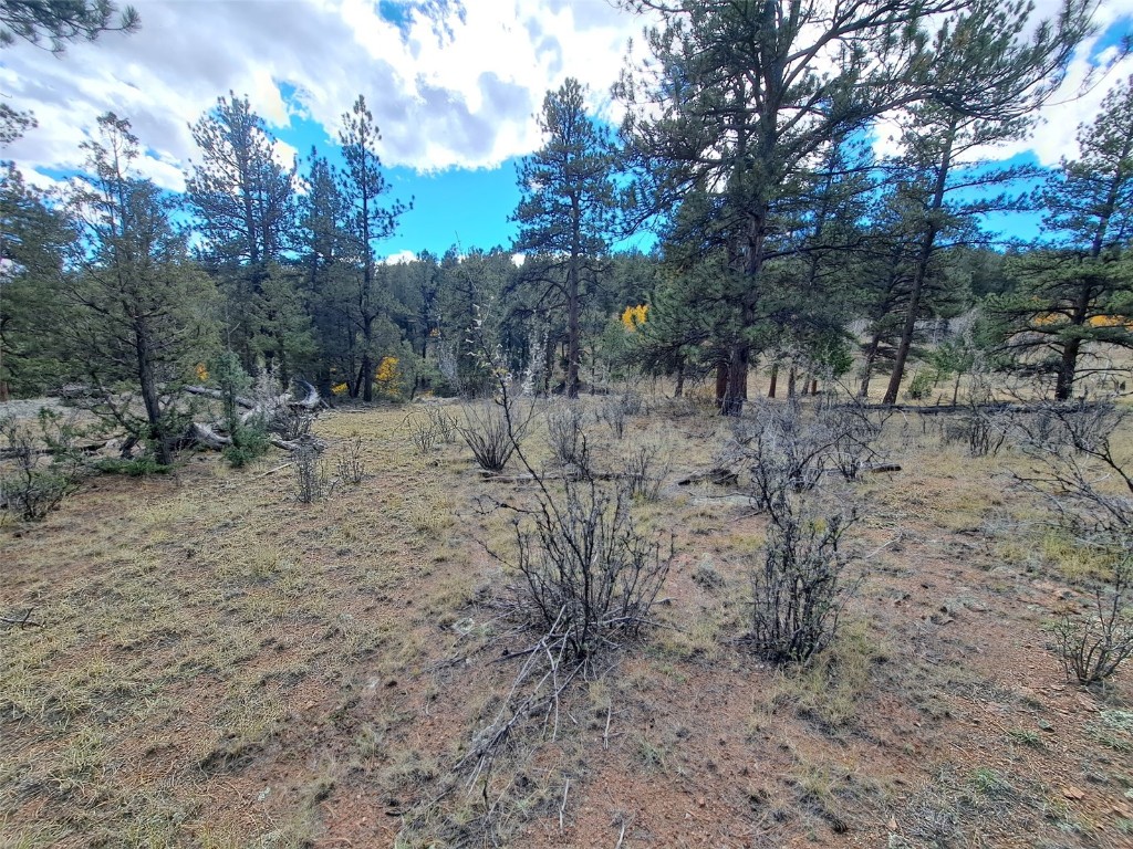 1077 Roland Drive Property Photo 3