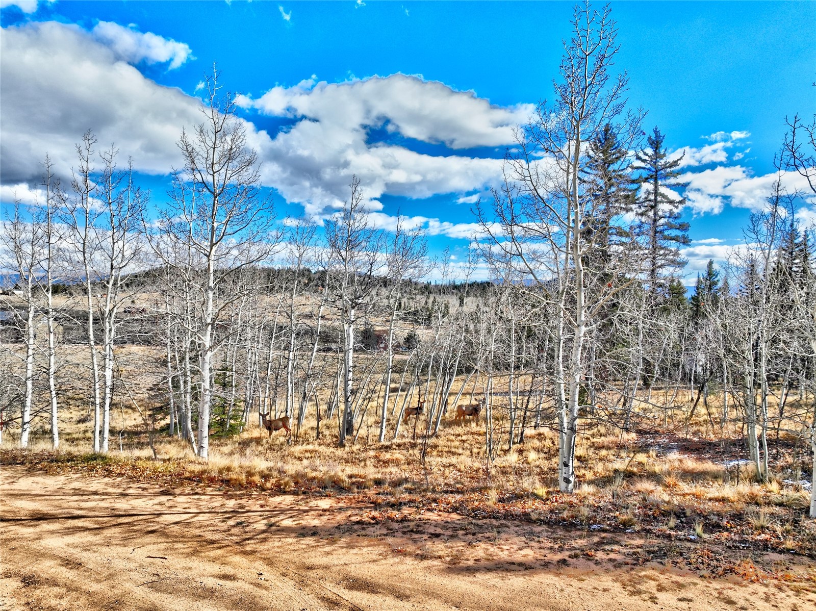 45 Swiggler Court Property Photo 32