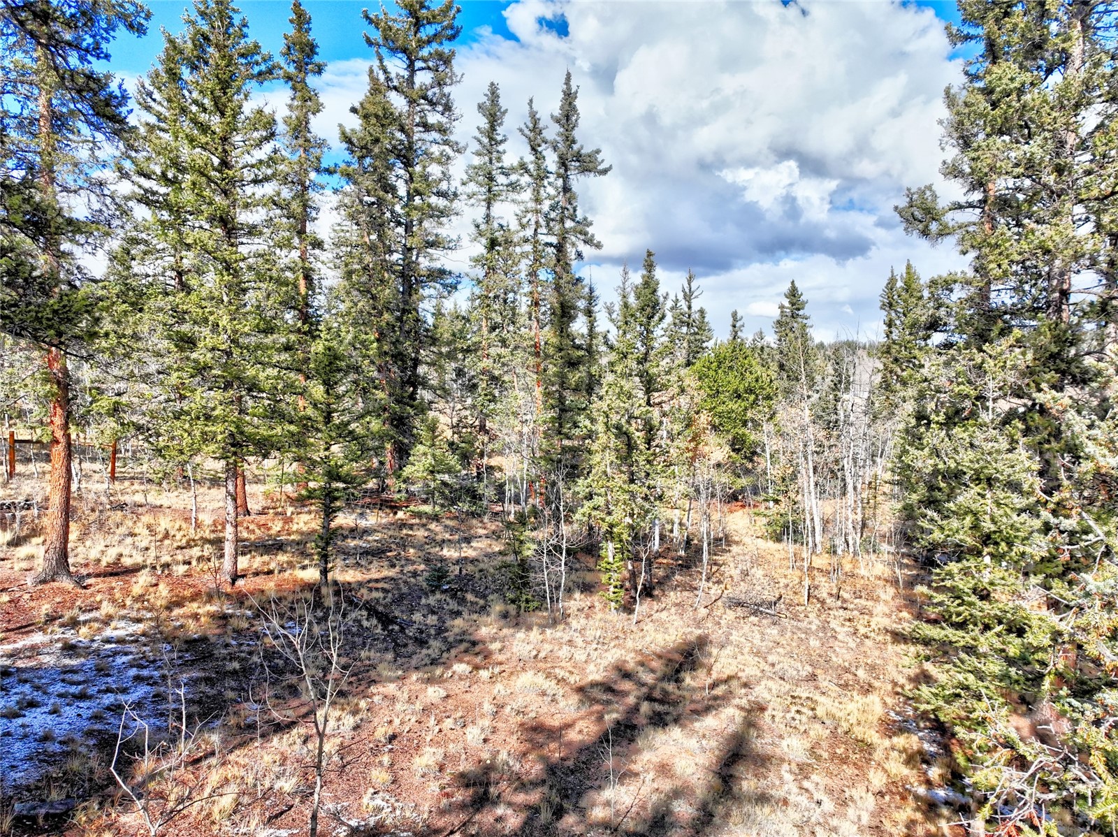 45 Swiggler Court Property Photo 41