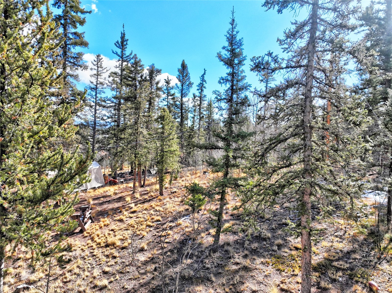 45 Swiggler Court Property Photo 42