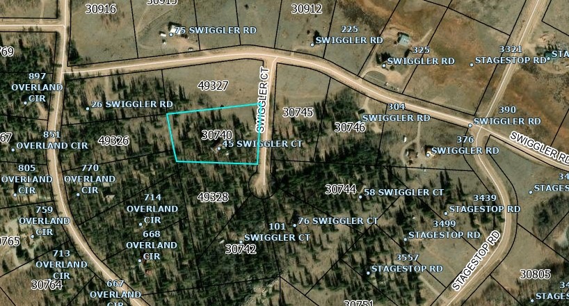45 Swiggler Court Property Photo 49