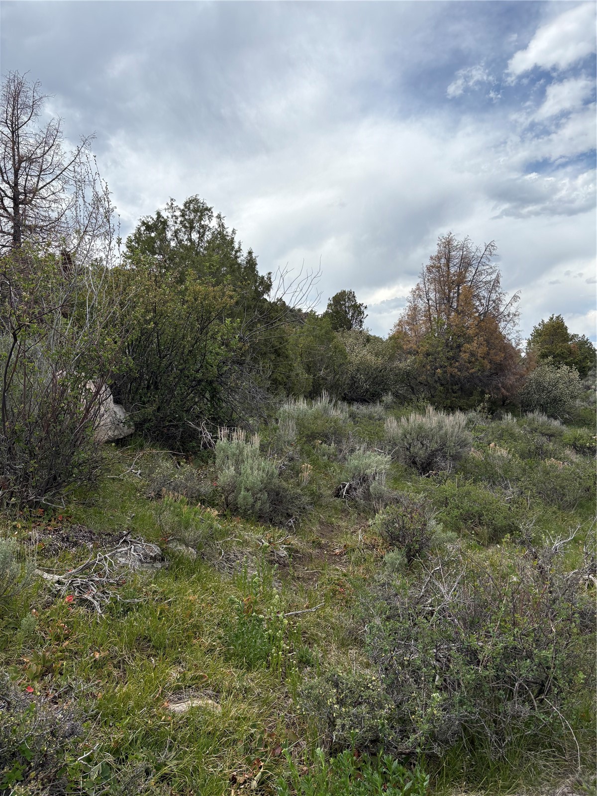 303 Red Sky Road Property Photo 19