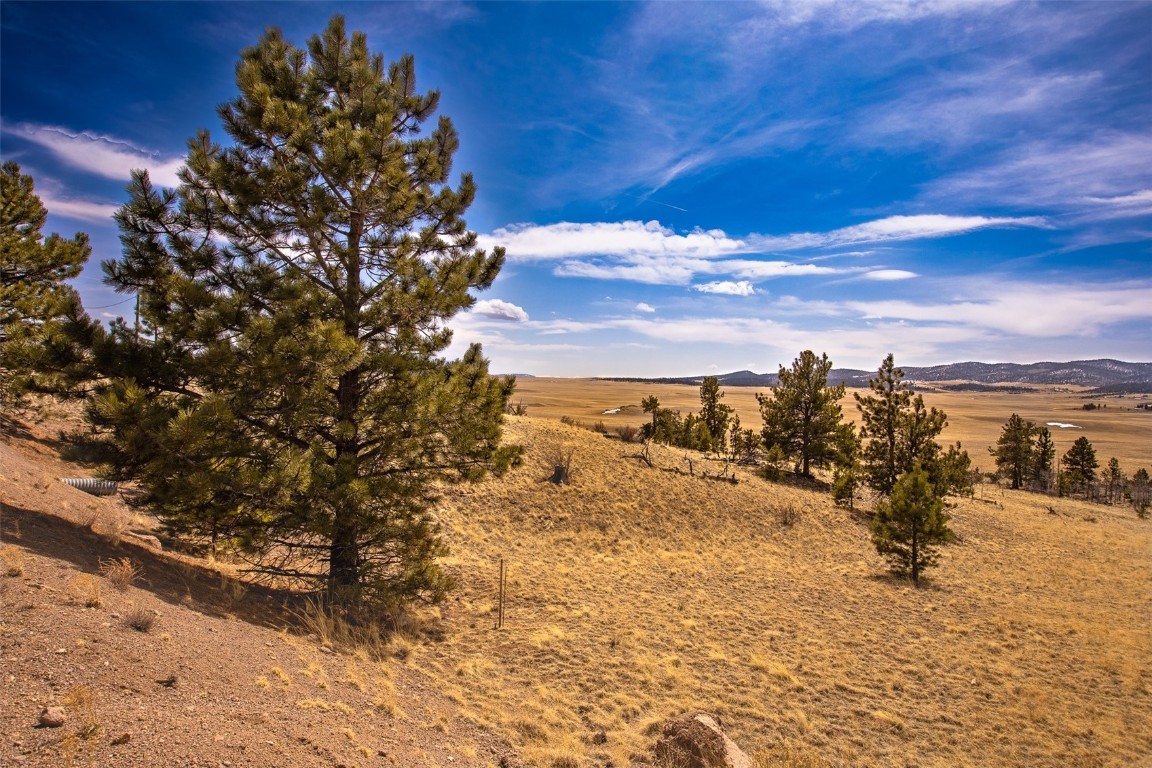 102 Pack Saddle Court Property Photo 1