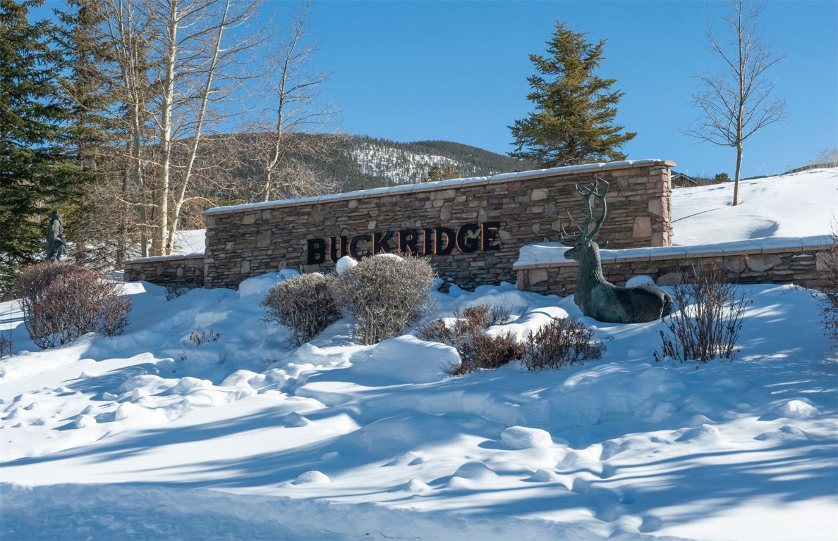 164 Buck Ridge Road 164 Property Photo 28