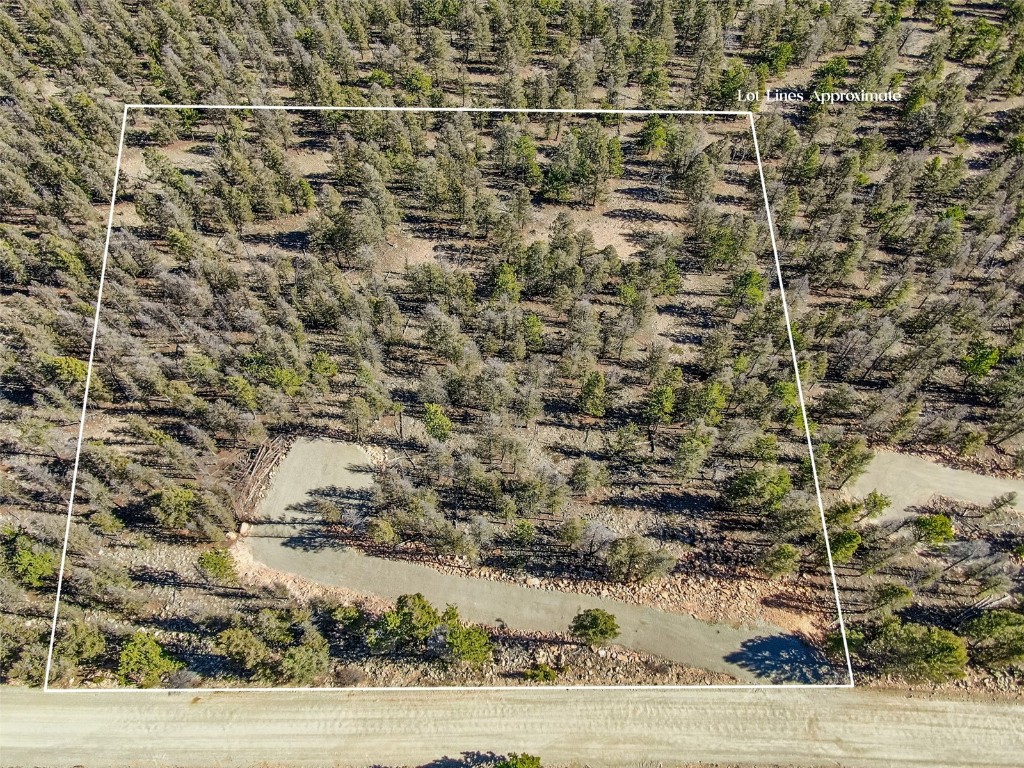4538 Middle Fork Property Photo 5