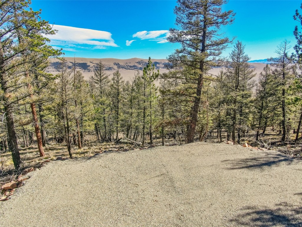 4538 Middle Fork Property Photo 11