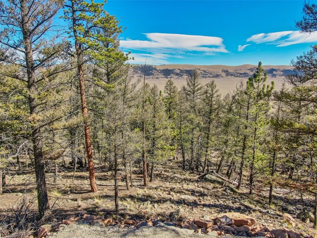 4538 Middle Fork Property Photo 12