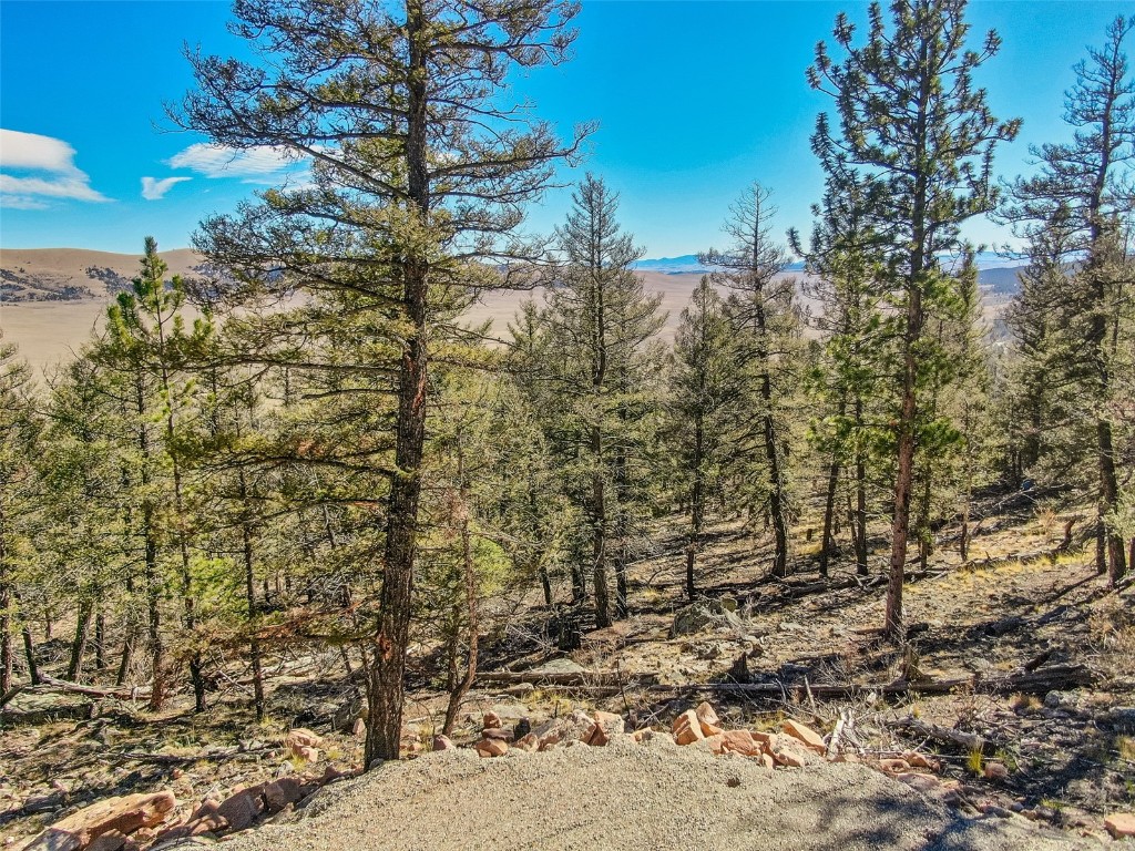4538 Middle Fork Property Photo 13