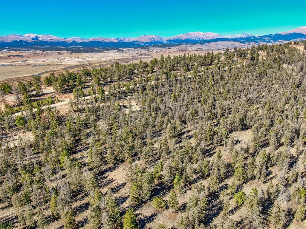 4538 Middle Fork Property Photo 17