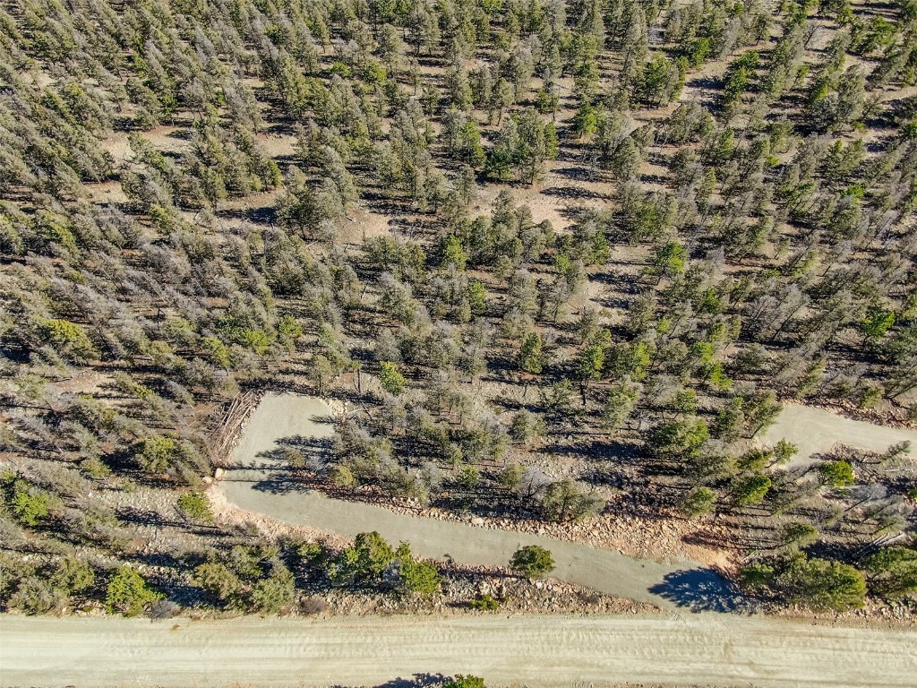 4538 Middle Fork Property Photo 19
