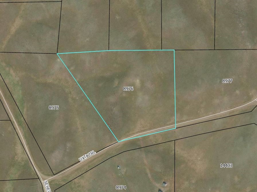 3779 Uxta Trail Property Photo 12