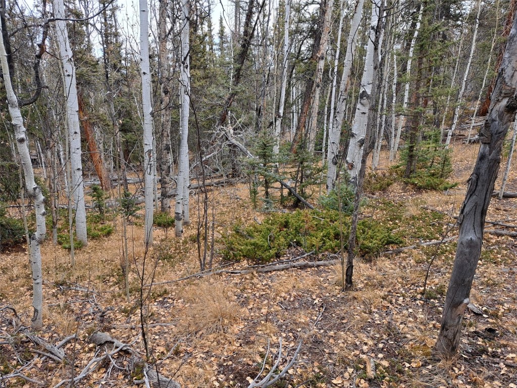 210 Tepee Trail Property Photo 1