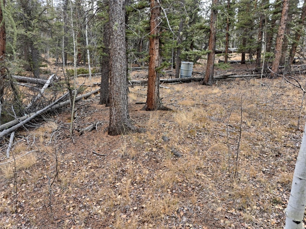 210 Tepee Trail Property Photo 2