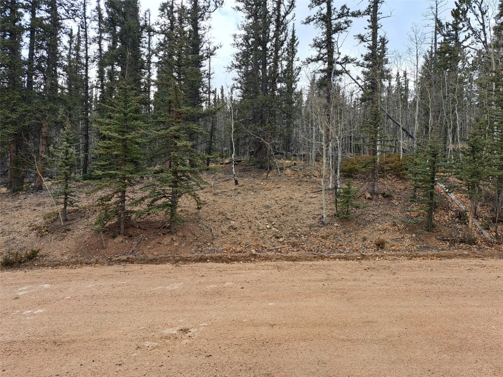 210 Tepee Trail Property Photo 3