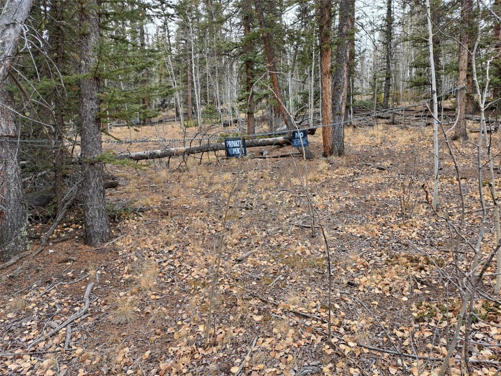 210 Tepee Trail Property Photo 4