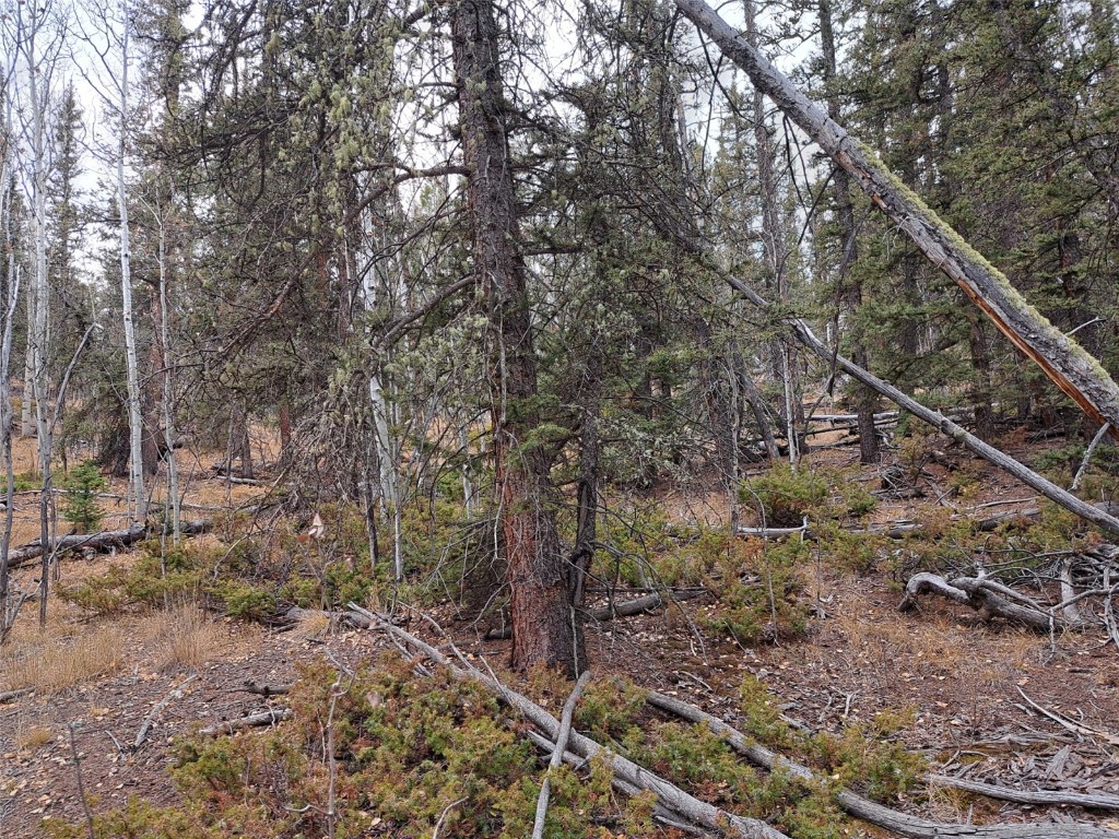 210 Tepee Trail Property Photo 5