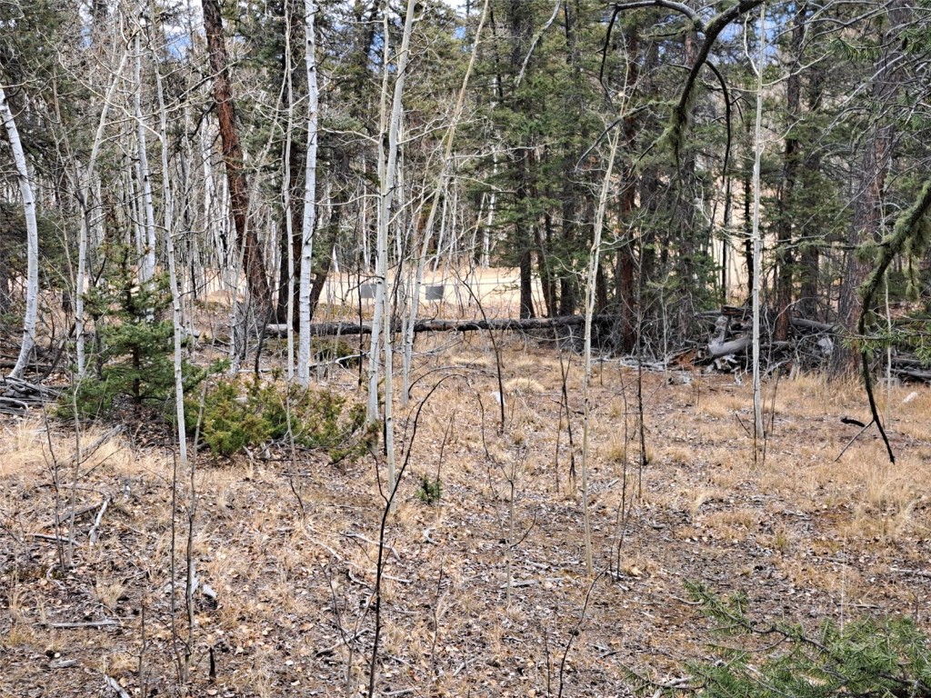 210 Tepee Trail Property Photo 7