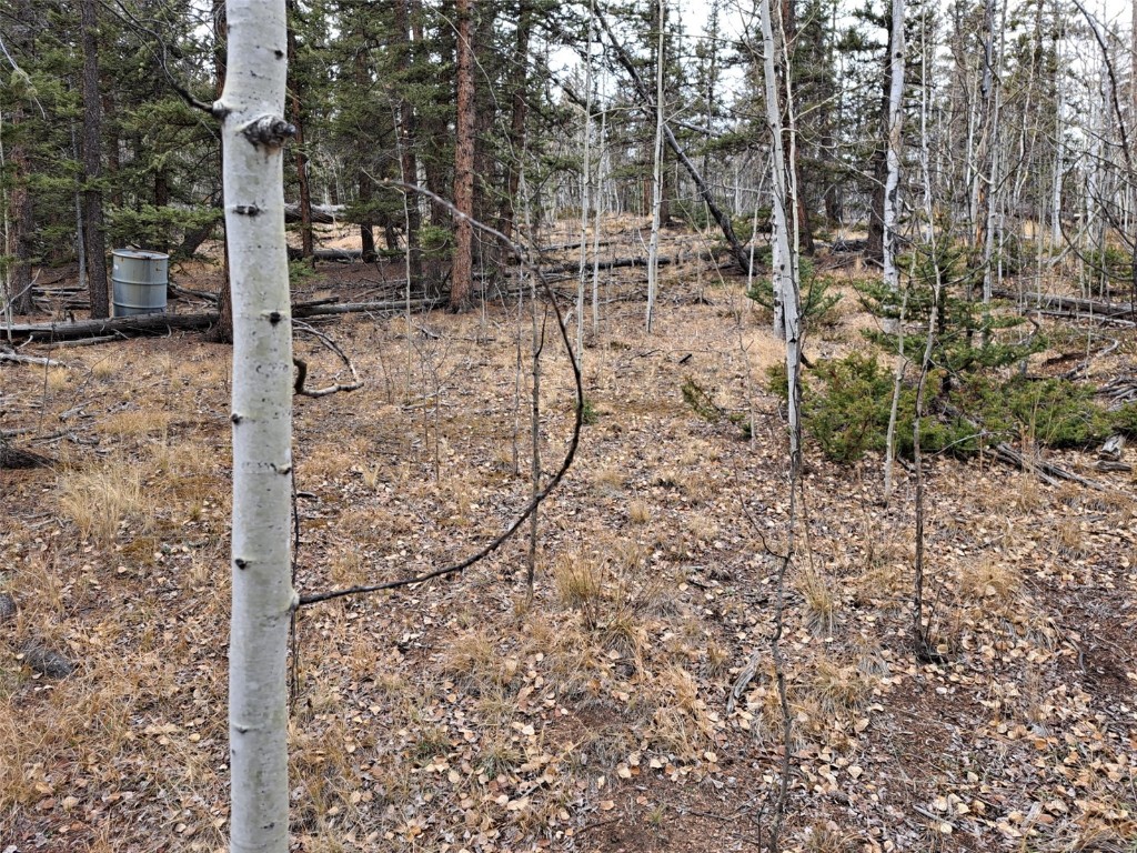 210 Tepee Trail Property Photo 8