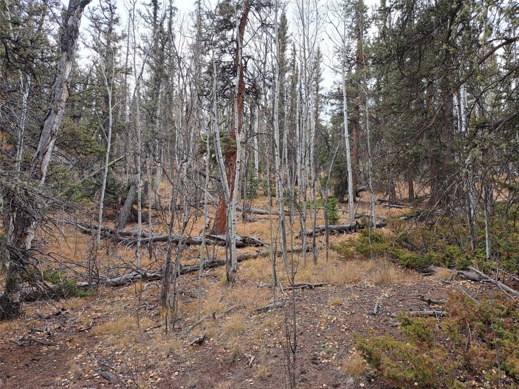 210 Tepee Trail Property Photo 9