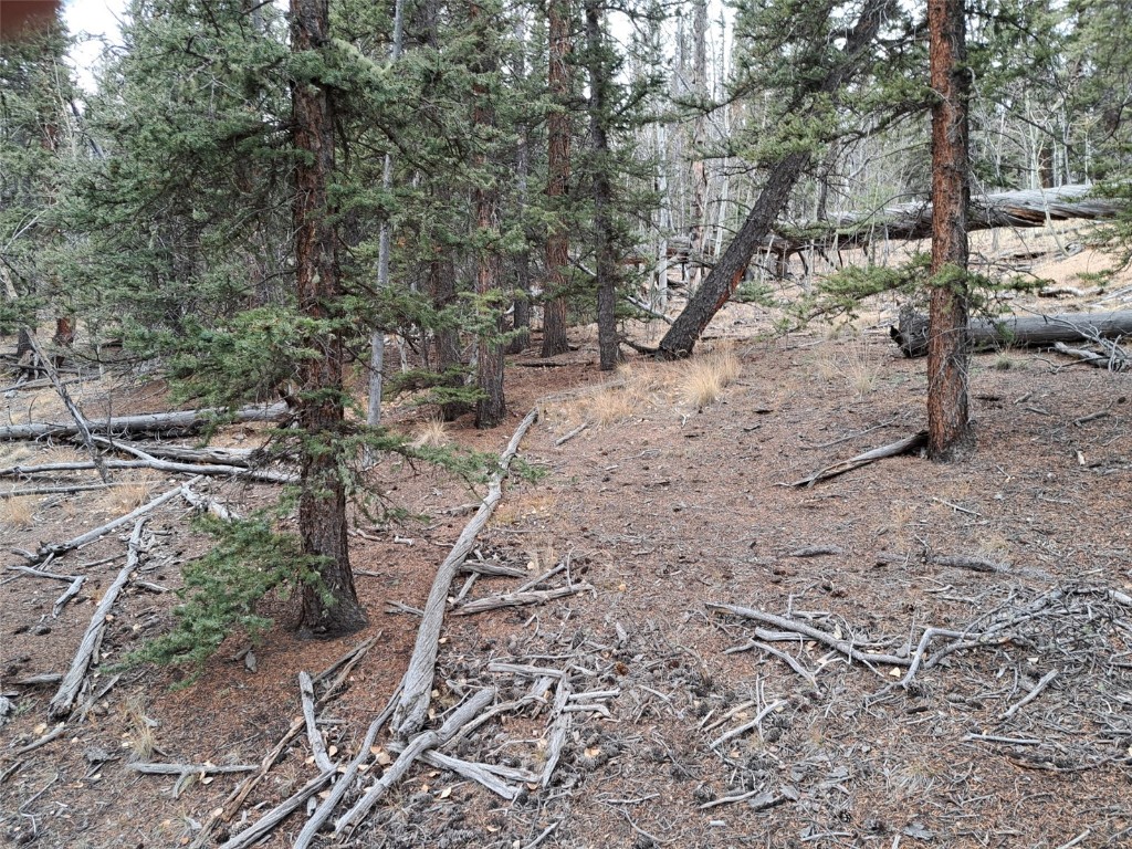 210 Tepee Trail Property Photo 11